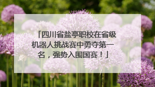 四川省盐亭职校在省级机器人挑战赛中勇夺第一名，强势入围国赛！