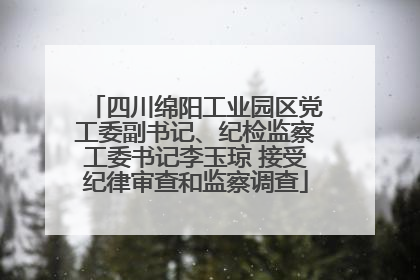 四川绵阳工业园区党工委副书记、纪检监察工委书记李玉琼 接受纪律审查和监察调查