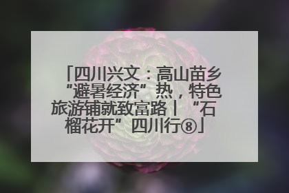 四川兴文：高山苗乡“避暑经济”热，特色旅游铺就致富路丨“石榴花开”四川行⑧