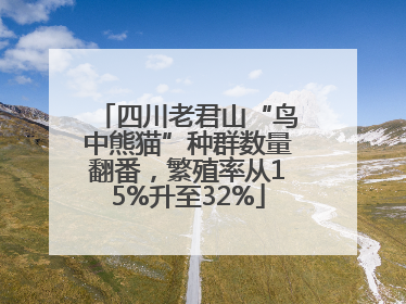 四川老君山“鸟中熊猫”种群数量翻番，繁殖率从15%升至32%