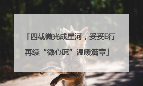 四载微光成星河，妥妥E行再续“微心愿”温暖篇章