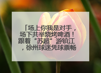 场上你我是对手，场下共举烧烤啤酒！跟着“苏超”游镇江，徐州球迷凭球票畅游名山胜景