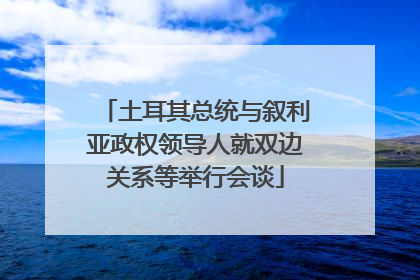 土耳其总统与叙利亚政权领导人就双边关系等举行会谈