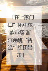 在“家门口”拓中东欧市场 浙江余姚“智造”组团出击
