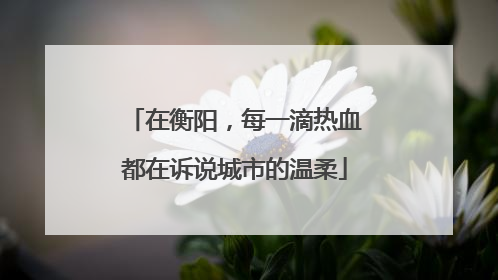 在衡阳，每一滴热血都在诉说城市的温柔