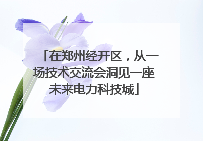 在郑州经开区，从一场技术交流会洞见一座未来电力科技城
