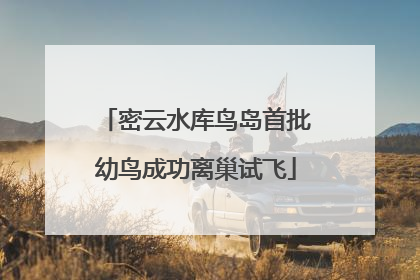 密云水库鸟岛首批幼鸟成功离巢试飞