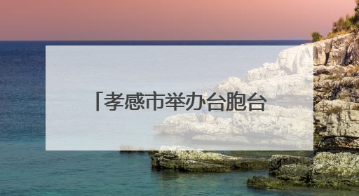 孝感市举办台胞台属端午联谊暨“美丽孝感行”活动