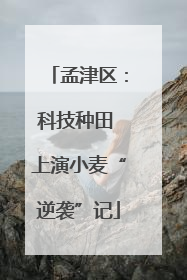 孟津区：科技种田 上演小麦“逆袭”记