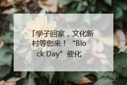 学子回家，文化新村等您来！“Block Day”催化学院式街区新生态