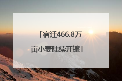 宿迁466.8万亩小麦陆续开镰
