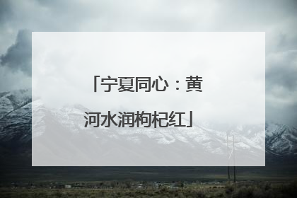 宁夏同心：黄河水润枸杞红