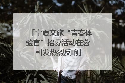宁夏文旅“青春体验官”招募活动在蓉引发热烈反响