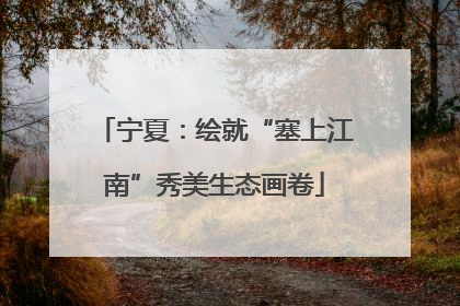 宁夏：绘就“塞上江南”秀美生态画卷