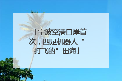 宁波空港口岸首次，四足机器人“打飞的”出海