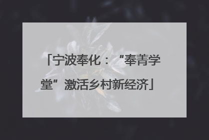 宁波奉化：“奉菁学堂”激活乡村新经济