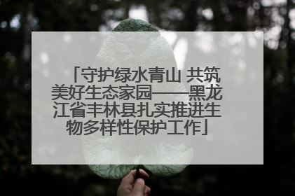 守护绿水青山 共筑美好生态家园——黑龙江省丰林县扎实推进生物多样性保护工作