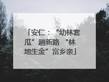 安仁：“幼林套瓜”趟新路 “林地生金”富乡亲