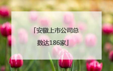 安徽上市公司总数达186家