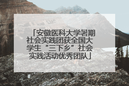 安徽医科大学暑期社会实践团获全国大学生“三下乡”社会实践活动优秀团队