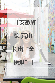 安徽旌德 荒山长出“金疙瘩”