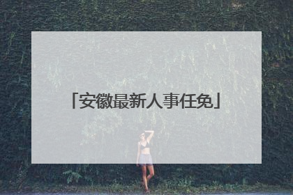 安徽最新人事任免