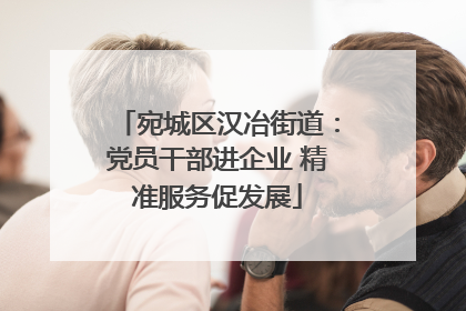 宛城区汉冶街道：党员干部进企业 精准服务促发展