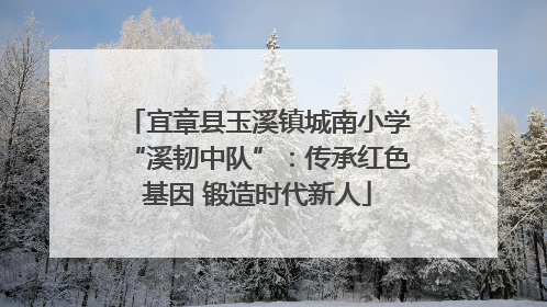 宜章县玉溪镇城南小学“溪韧中队”：传承红色基因 锻造时代新人