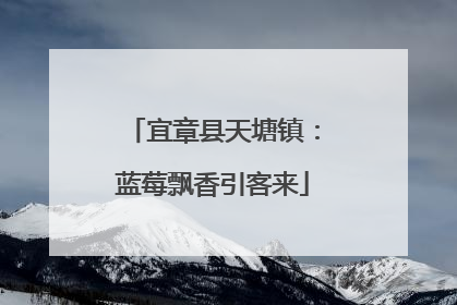 宜章县天塘镇：蓝莓飘香引客来