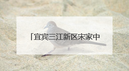 宜宾三江新区宋家中学举办第十七届校园文化艺术节暨2022级毕业季音乐节