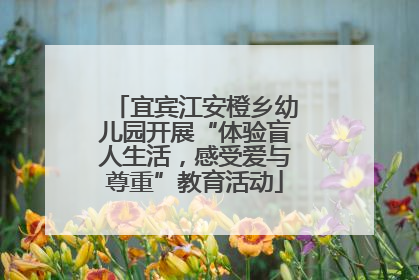 宜宾江安橙乡幼儿园开展“体验盲人生活，感受爱与尊重”教育活动