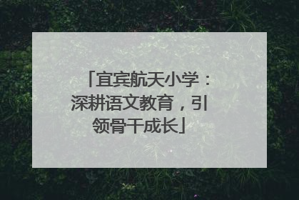 宜宾航天小学：深耕语文教育，引领骨干成长
