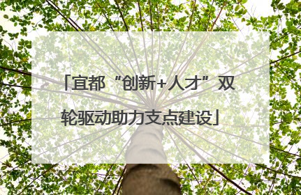 宜都“创新+人才”双轮驱动助力支点建设
