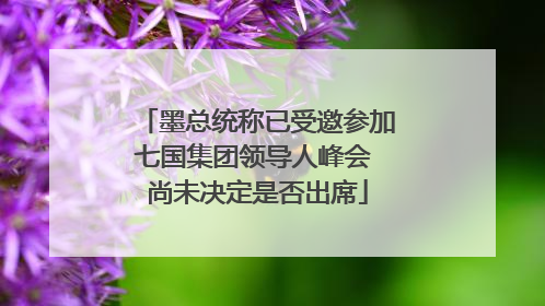 墨总统称已受邀参加七国集团领导人峰会 尚未决定是否出席