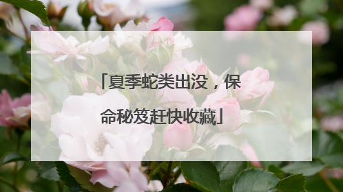 夏季蛇类出没，保命秘笈赶快收藏