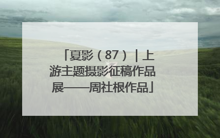 夏影（87）｜上游主题摄影征稿作品展——周社根作品