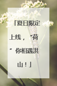 夏日限定上线，“荷”你相遇洪山！