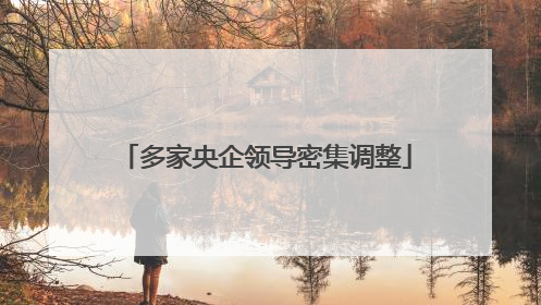 多家央企领导密集调整