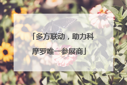 多方联动，助力科摩罗唯一参展商