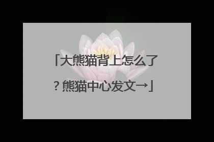 大熊猫背上怎么了？熊猫中心发文→