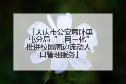 大庆市公安局卧里屯分局“一网三化”推进校园周边流动人口管理服务