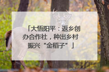 大悟阳平：返乡创办合作社，种出乡村振兴“金稻子”