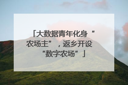 大数据青年化身“农场主”，返乡开设“数字农场”