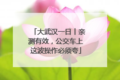 大武汉一日丨亲测有效，公交车上这波操作必须夸