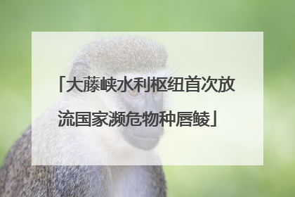 大藤峡水利枢纽首次放流国家濒危物种唇鲮