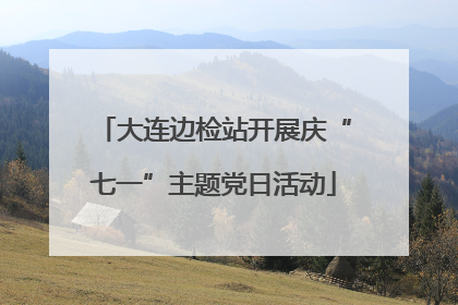 大连边检站开展庆“七一”主题党日活动