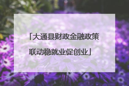 大通县财政金融政策联动稳就业促创业