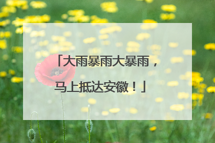 大雨暴雨大暴雨，马上抵达安徽！