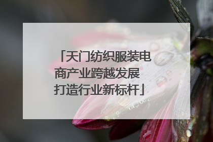 天门纺织服装电商产业跨越发展 打造行业新标杆