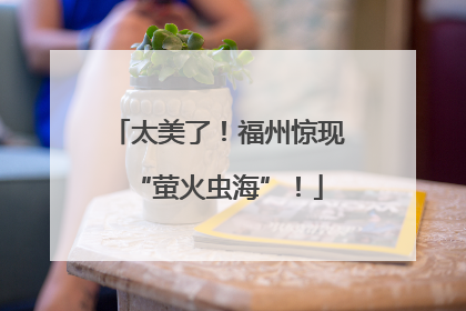太美了！福州惊现“萤火虫海”！